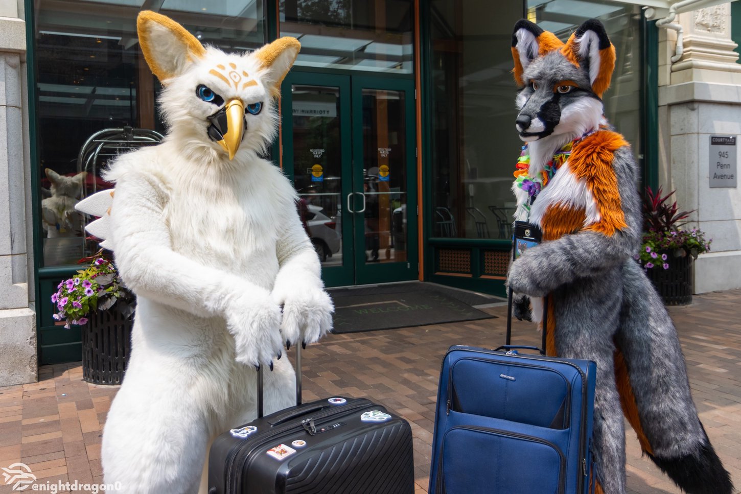 A picture of a gryphon and a fox checking into the Courtyard Marriott Pittsburgh hotel.