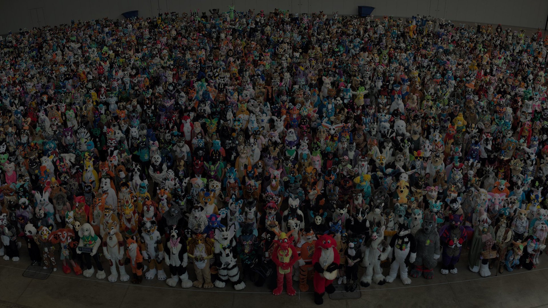 Anthrocon 2024 AnthroCoaster July 47, 2024