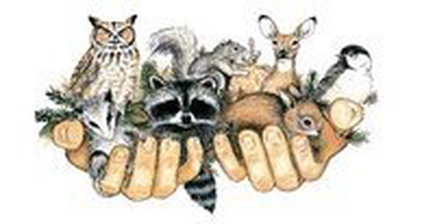 wildlife-works-logo.jpg