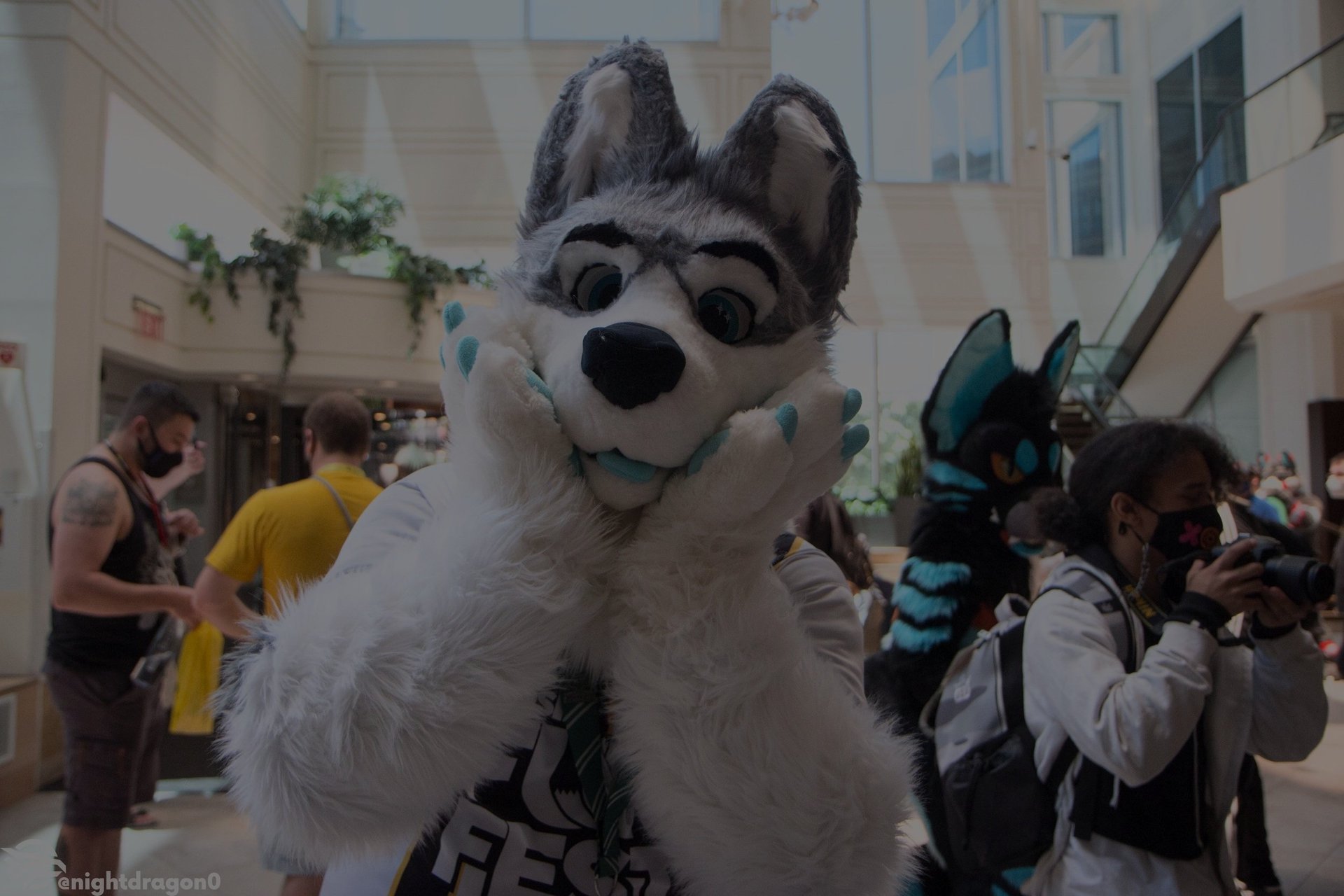 Anthrocon 2023 Updates for Registration, Dealers, Programming