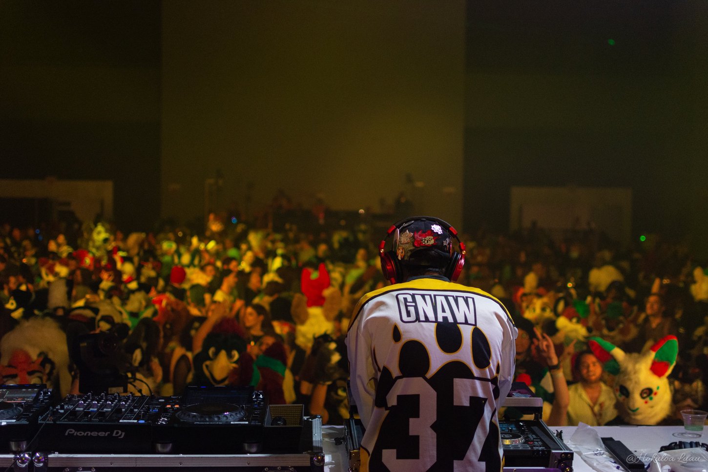 DJ Gnaw making the crowd go wild at Anthrocon's Nightly Dance.