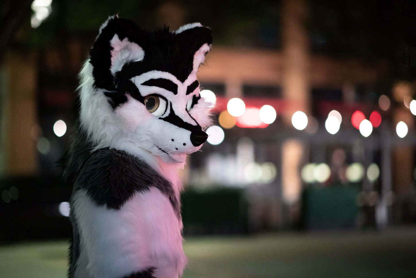 A fursuiter walking the streets of Pittsburgh in the evening.